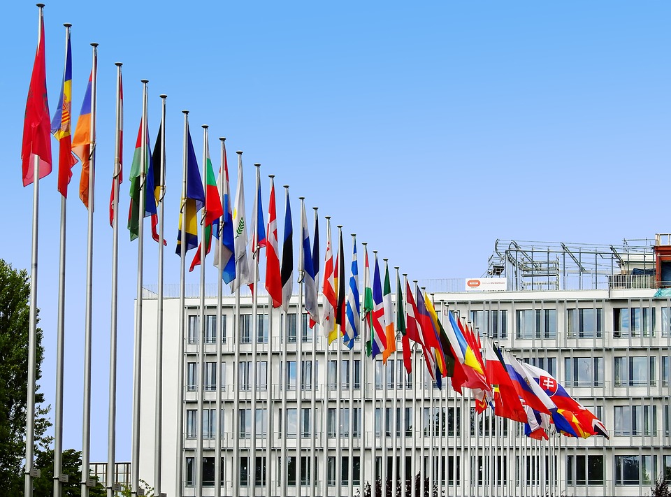 un palazzo dell'Ue con tutte le bandiere dei Paesi membri