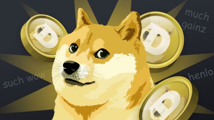 grafica del cane di Dogecoin con alcuni token DOGE