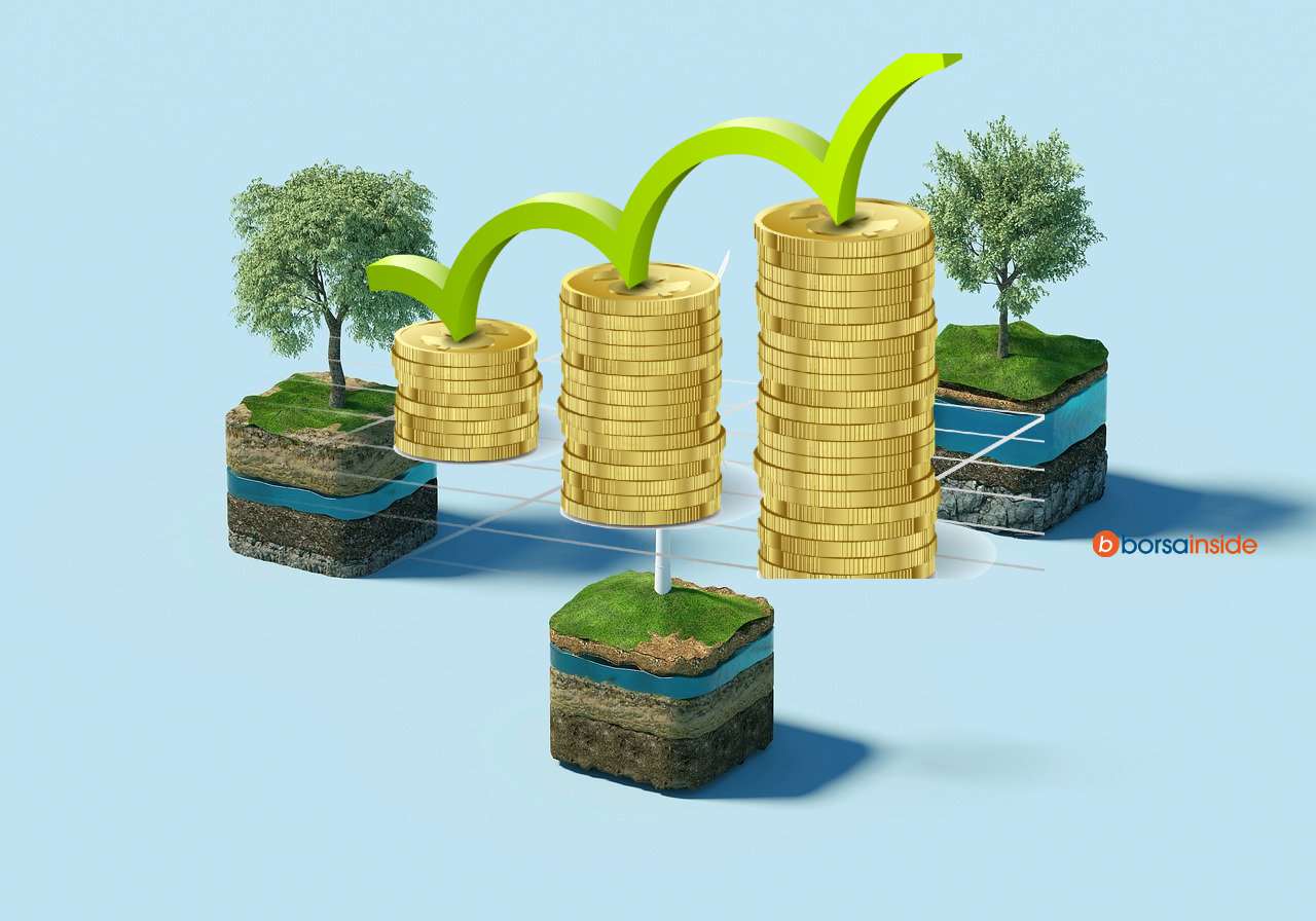 alberi e crescita investimenti