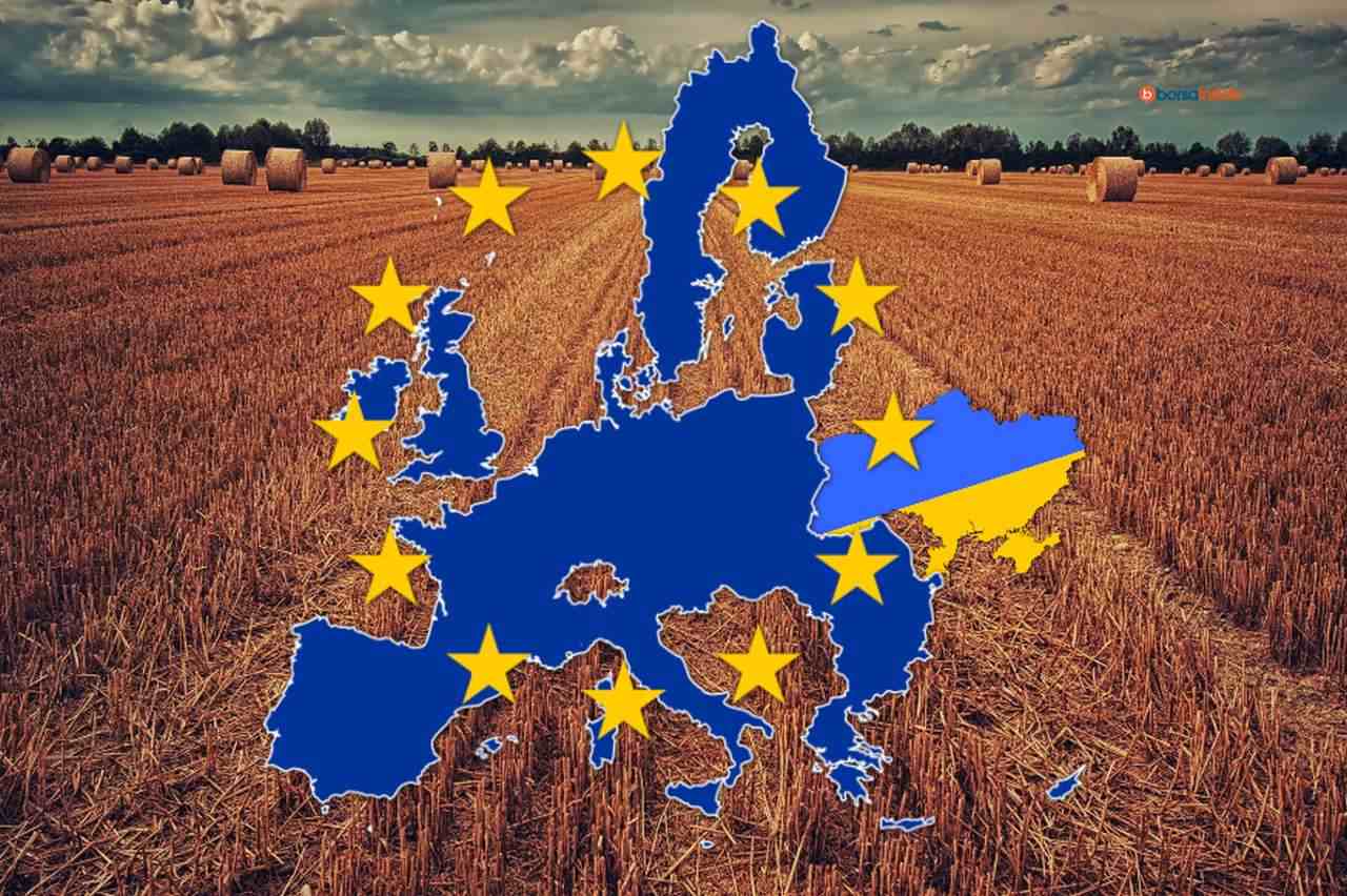 un campo di grano con la bandiera dell'Unione Europea e quella dell'Ucraina racchiuse nei rispettivi confini