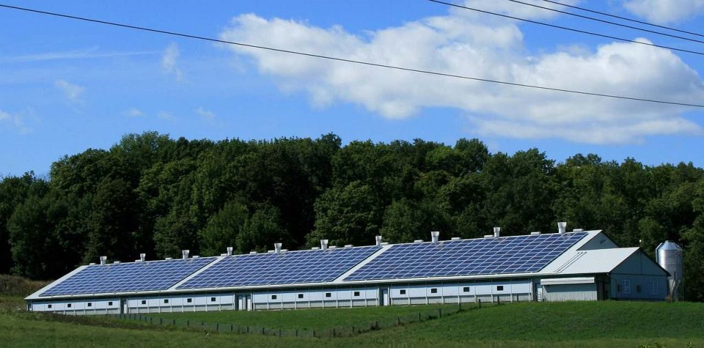 panelli solari su case e verde sullo sfondo