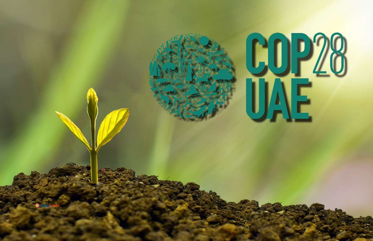 un germoglio che spunta dalla terra e il logo di COP28 UAE