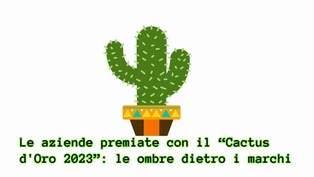 Cactus d Oro 2023