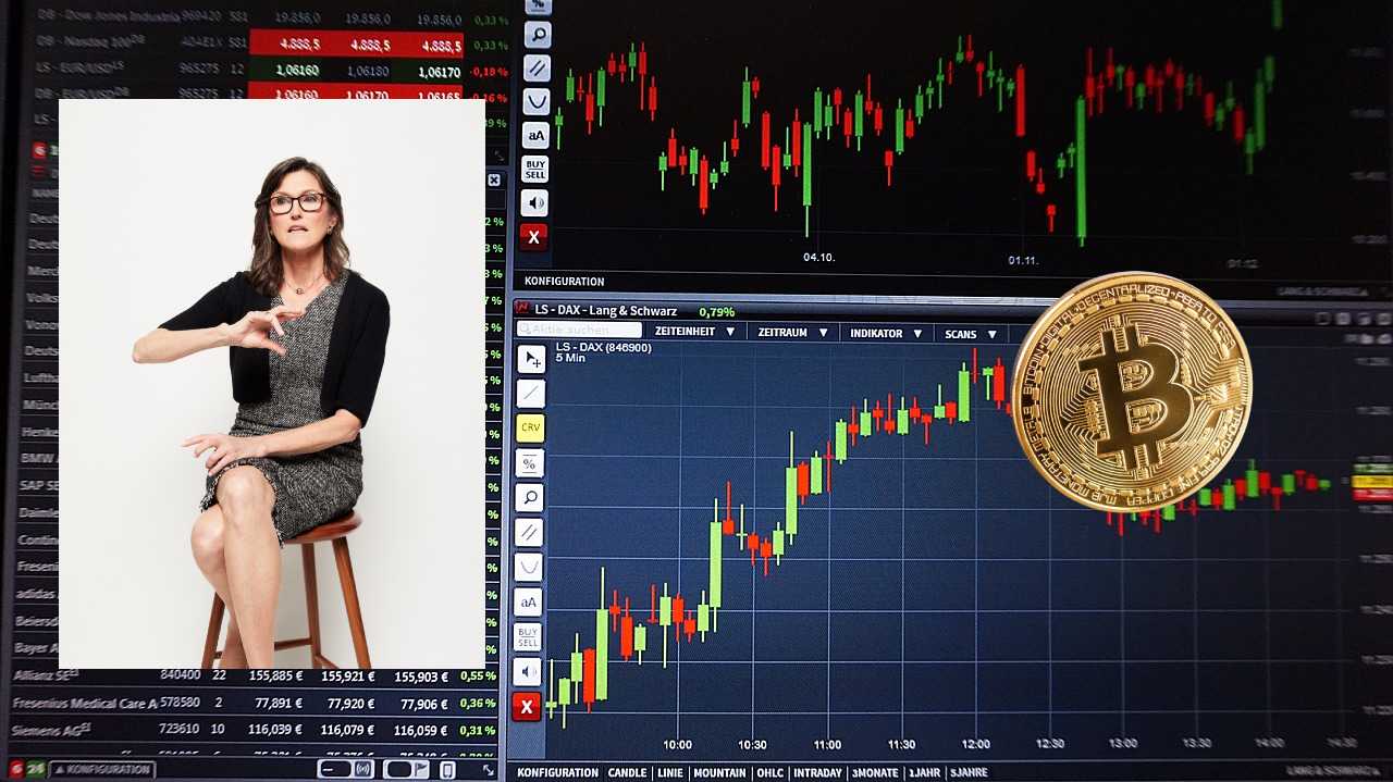 grafici di borsa e Cathie Wood