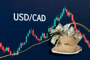 In basso a destra un sacco di iuta con delle banconote in dollari che fuoriescono dall'interno. In alto a sinistra la scritta USD/CAD e sullo sfondo un grafico a candele