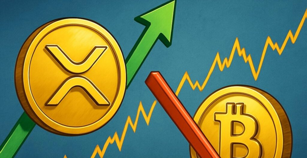xrp, xrp etf, ripple etf, cripto, crypto, criptovalute, etf cripto
