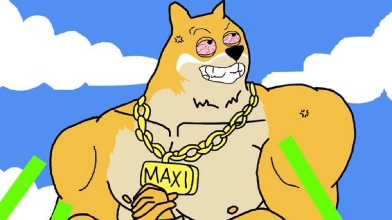 maxi doge, doge, dogecoin, meme coin, crypto, cripto, criptovalute, maxi token
