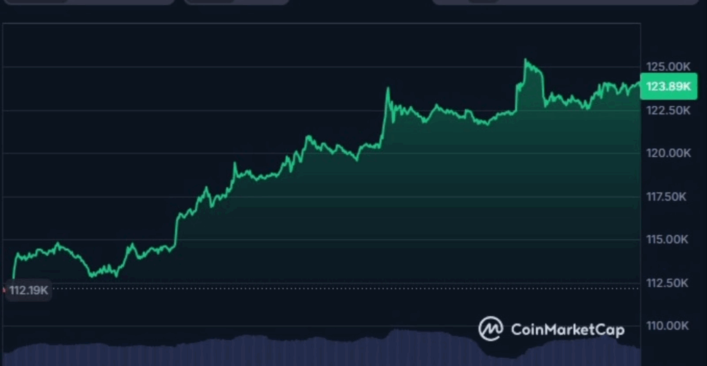 bitcoin, record bitcoin, valore bitcoin, grafico bitcoin, analisi bitcoin, prezzo bitcoin