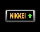 Borsa Tokyo: Forti acquisti su minerari e petroliferi, Nikkei positivo