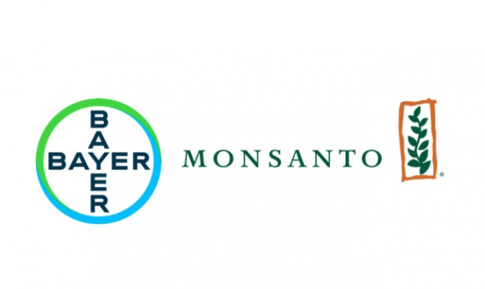 bayer bayer
