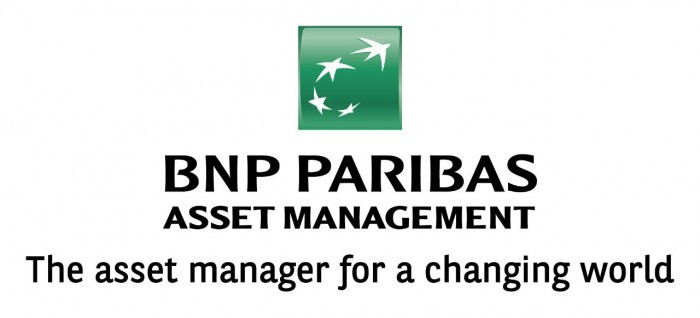 bnp bnp