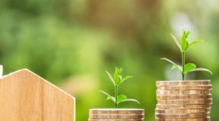 Bonus verde: agevolazioni per gli acquisti eco a partire dal 2020 Bonus verde: agevolazioni per gli acquisti eco a partire dal 2020