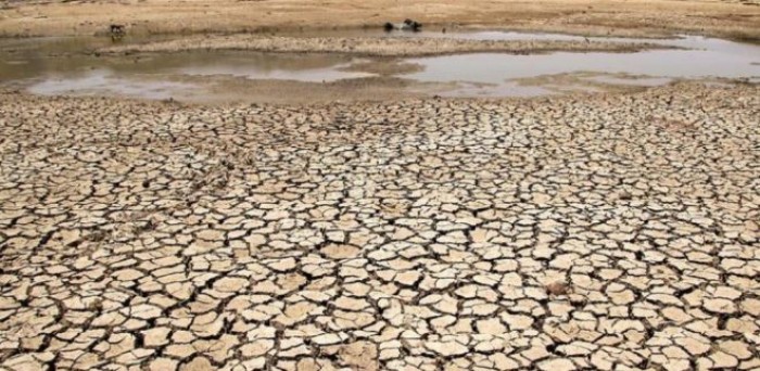 Caldo record in India, le temperature superano i 50 gradi Caldo record in India, le temperature superano i 50 gradi