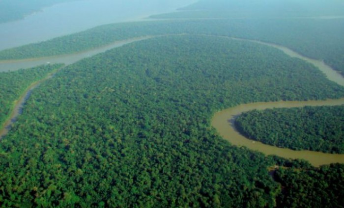 Brasile, la deforestazione dell'Amazzonia cresce del 67% rispetto al 2018 Brasile, la deforestazione dell'Amazzonia cresce del 67% rispetto al 2018
