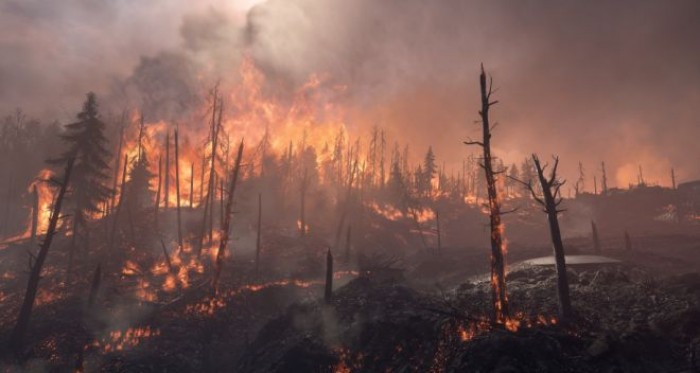Cambiamenti climatici, l'incendio in Siberia causa reazioni a catena Cambiamenti climatici, l'incendio in Siberia causa reazioni a catena