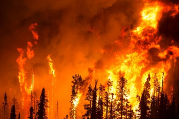 L'Artico brucia, oltre 3,2 milioni di ettari di foresta in fiamme tra Siberia e Yakuzia L'Artico brucia, oltre 3,2 milioni di ettari di foresta in fiamme tra Siberia e Yakuzia