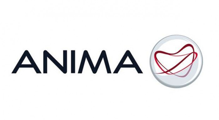 anima anima
