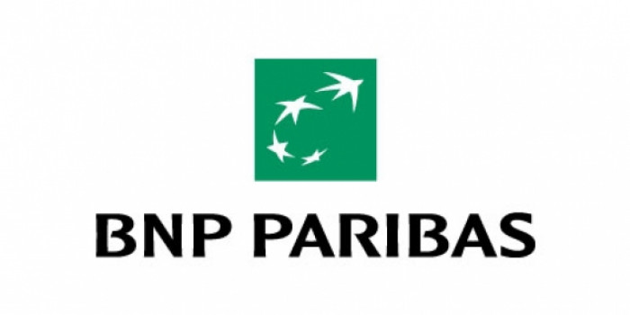 bnp bnp