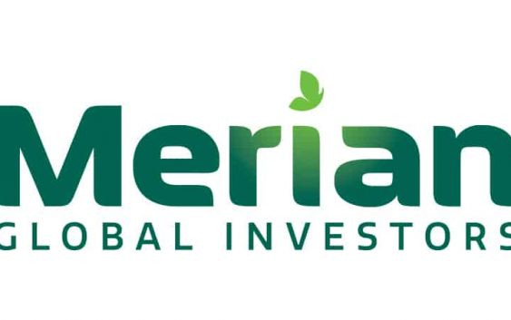 merian global merian global