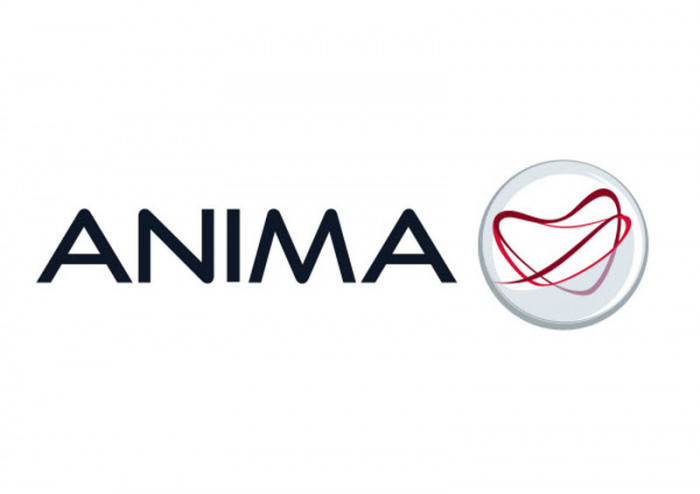 anima anima