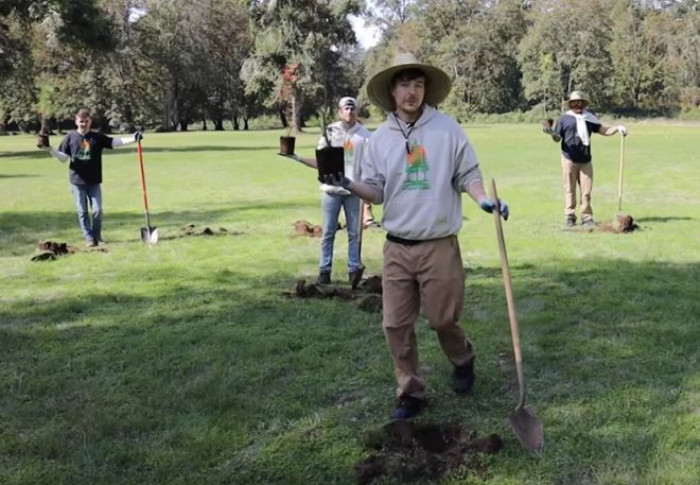 Team Trees: nasce su youtube la raccolta fondi per piantare 20 milioni di alberi Team Trees: nasce su youtube la raccolta fondi per piantare 20 milioni di alberi