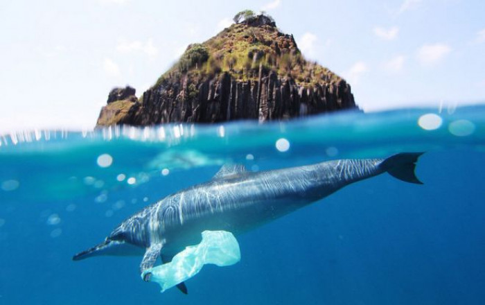 Emergenza plastica, negli oceani quantità un milione di volte superiori di quel che si prevedeva Emergenza plastica, negli oceani quantità un milione di volte superiori di quel che si prevedeva