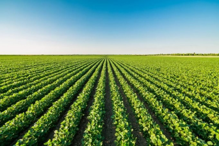 Perchè la Puglia ha perso 142 milioni di Fondi UE per lo Sviluppo Rurale? Perchè la Puglia ha perso 142 milioni di Fondi UE per lo Sviluppo Rurale?