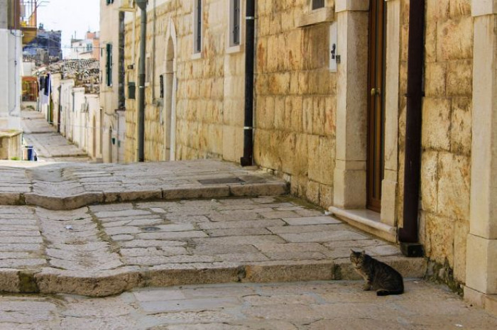 Airbnb, per il fisco chi affitta più di 3 case diventa un'impresa. Ecco quanto dovrà pagare Airbnb, per il fisco chi affitta più di 3 case diventa un'impresa. Ecco quanto dovrà pagare