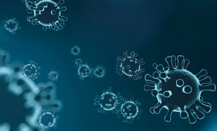 Coronavirus, il virologo Perno invita ad evitare inutili allarmismi ma precisa: Coronavirus, il virologo Perno invita ad evitare inutili allarmismi ma precisa: