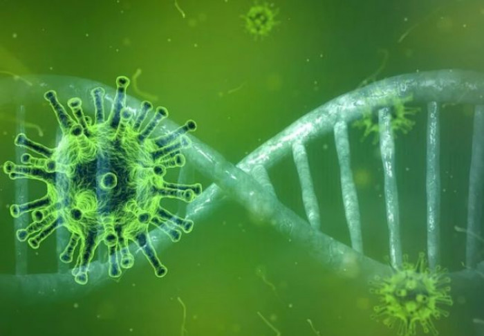 Cause pandemia coronavirus, risposta della natura al danno arrecato all'ambiente dall'uomo? Cause pandemia coronavirus, risposta della natura al danno arrecato all'ambiente dall'uomo?