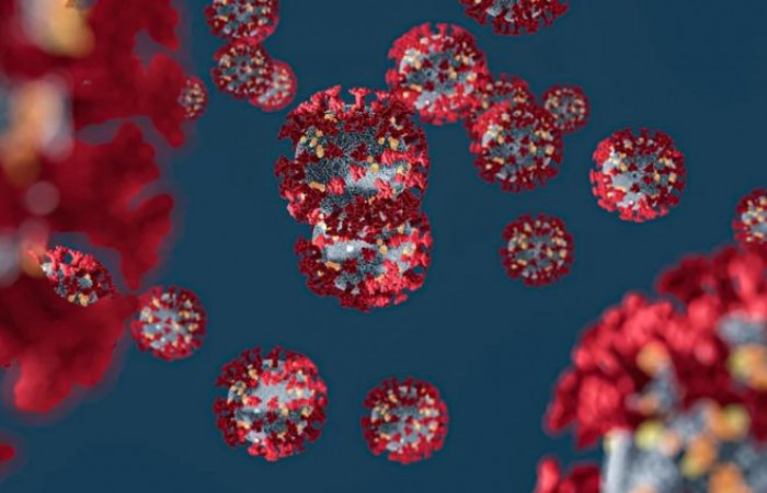 Vaccino per il Coronavirus, negli USA il via alla sperimentazione sull'uomo Vaccino per il Coronavirus, negli USA il via alla sperimentazione sull'uomo