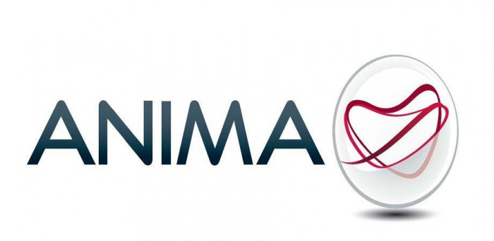 anima anima