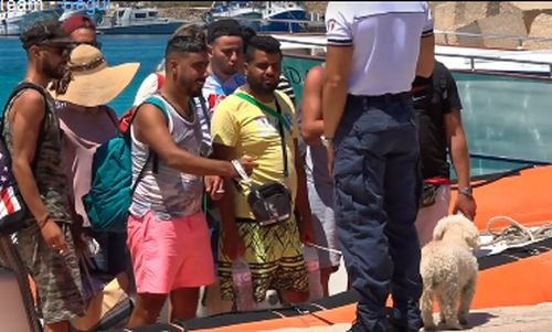 Immigrati col barboncino sbarcano a Lampedusa, ecco come si gestisce l'emergenza coronavirus Immigrati col barboncino sbarcano a Lampedusa, ecco come si gestisce l'emergenza coronavirus