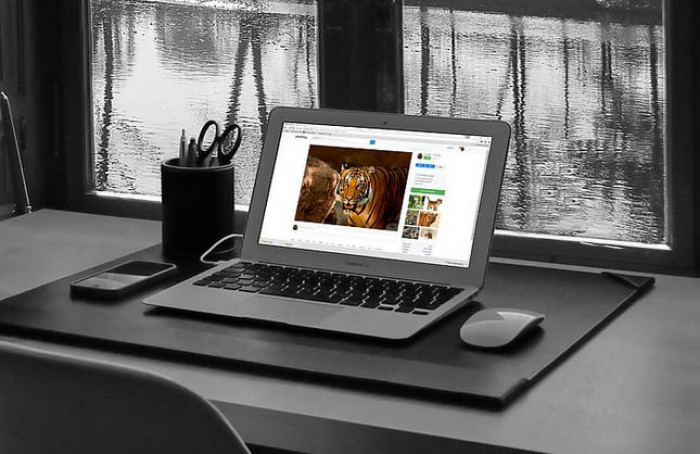 Bonus 500 euro per pc e connessione internet con Tim, Wind3, Vodafone, Fastweb e Tiscali Bonus 500 euro per pc e connessione internet con Tim, Wind3, Vodafone, Fastweb e Tiscali