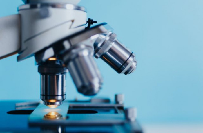 Coronavirus, Ema non approverà il vaccino AstraZeneca entro gennaio Coronavirus, Ema non approverà il vaccino AstraZeneca entro gennaio