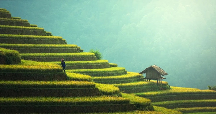 asia asia