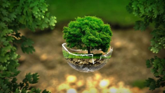FAO, per un'innovazione sostenibile è necessaria una partnership tra pubblico e privato FAO, per un'innovazione sostenibile è necessaria una partnership tra pubblico e privato
