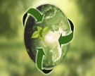 Case ecosostenibili: cosa sono e qual è il loro impatto sull'ambiente