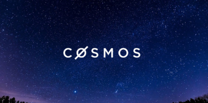 Prezzo Cosmos: previsioni 2021/2025. Come investire su ATOM? Prezzo Cosmos: previsioni 2021/2025. Come investire su ATOM?