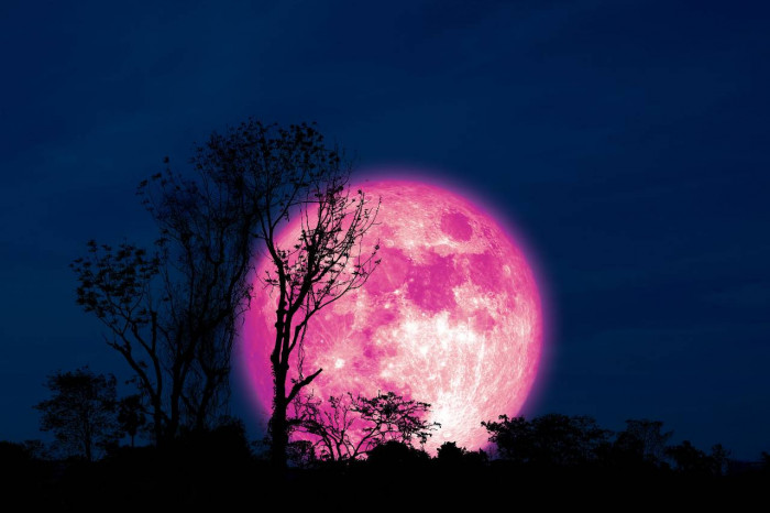 Superluna rosa: martedi 27 aprile. Come e quando vederla meglio Superluna rosa: martedi 27 aprile. Come e quando vederla meglio