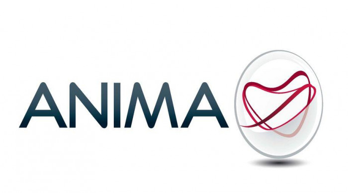 anima anima