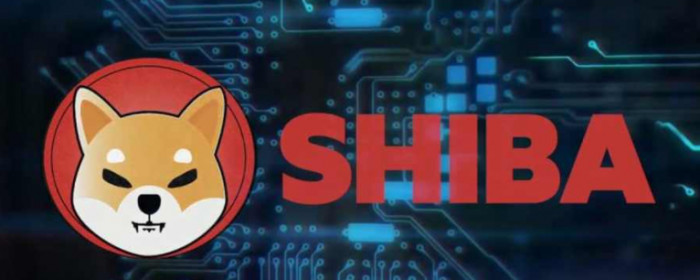 Comprare Shiba Inu per cavalcare ipotesi quotazione su Coinbase. Previsioni e analisi prezzi Comprare Shiba Inu per cavalcare ipotesi quotazione su Coinbase. Previsioni e analisi prezzi
