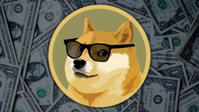 Dogecoin va sulla luna: quanto ha guadagnato chi ha investito 1000 euro ad inizio anno? Dogecoin va sulla luna: quanto ha guadagnato chi ha investito 1000 euro ad inizio anno?