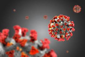 virus virus