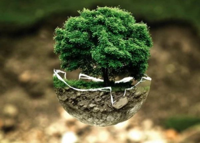 Commissione europea sul clima, presentato il piano per il taglio del 55% delle emissioni entro il 2030 Commissione europea sul clima, presentato il piano per il taglio del 55% delle emissioni entro il 2030