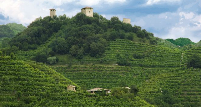 Tra Russia e Francia scoppia la guerra dello champagne. Opportunità per il prosecco made in Italy Tra Russia e Francia scoppia la guerra dello champagne. Opportunità per il prosecco made in Italy