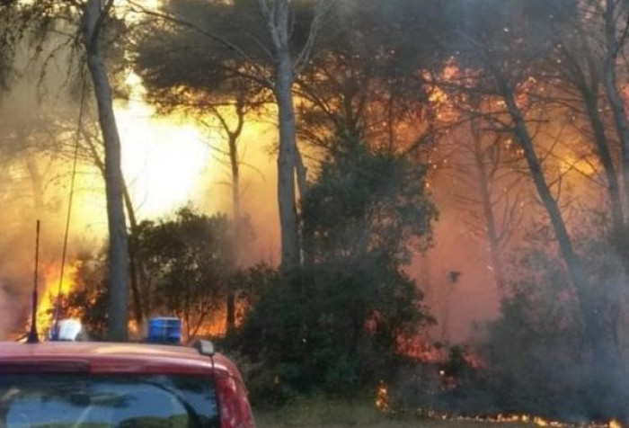 Italia devastata dalle fiamme, da quando Renzi ha abolito il corpo forestale gli incendi si sono sestuplicati Italia devastata dalle fiamme, da quando Renzi ha abolito il corpo forestale gli incendi si sono sestuplicati
