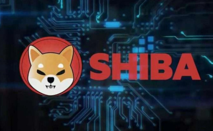 Comprare Shiba Inu? Prezzi ai massimi storici e market cap da record Comprare Shiba Inu? Prezzi ai massimi storici e market cap da record