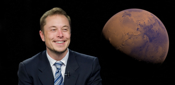 musk musk