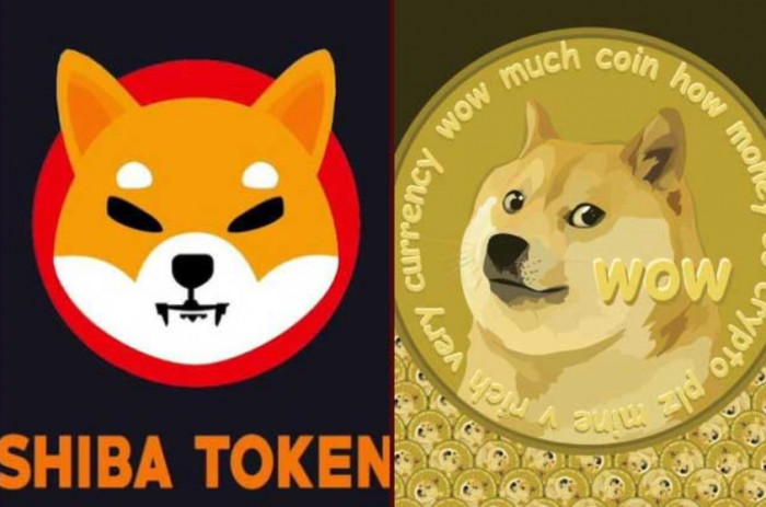 Shiba Inu VS Dogecoin: chi vincerà? Con il trading online si può investire su entrambe